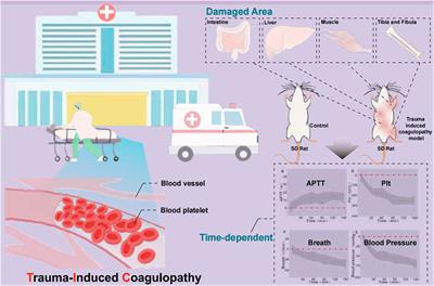 Correlations between coagulation abnormalities and inflammatory markers in trauma-induced coagulopathy